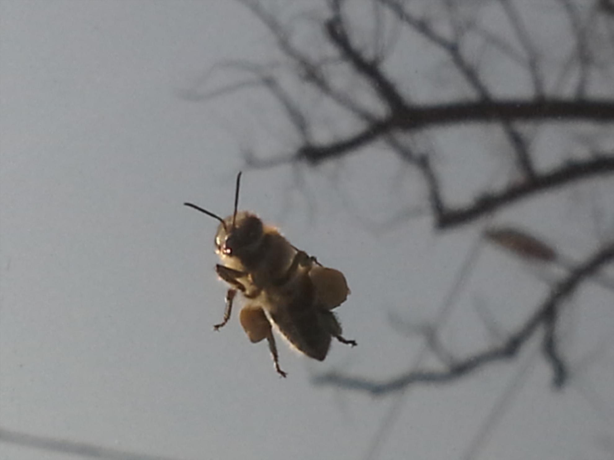 Pescuit la crap - 2013041810114811.jpg